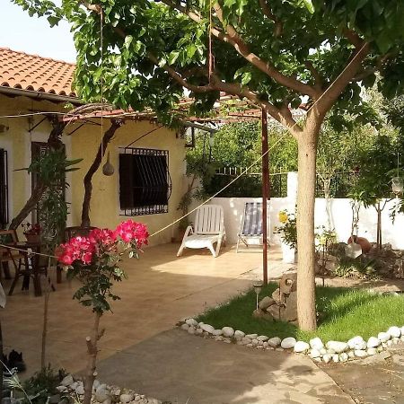 Panos And Chrisas House Βίλα Δρέπανο Εξωτερικό φωτογραφία