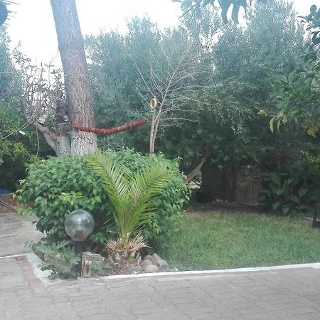 Panos And Chrisas House Βίλα Δρέπανο Εξωτερικό φωτογραφία