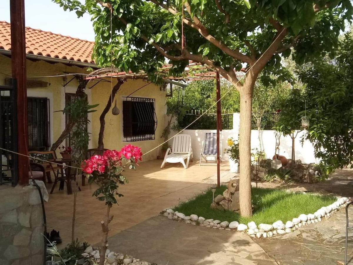 Panos And Chrisas House Βίλα Δρέπανο Εξωτερικό φωτογραφία