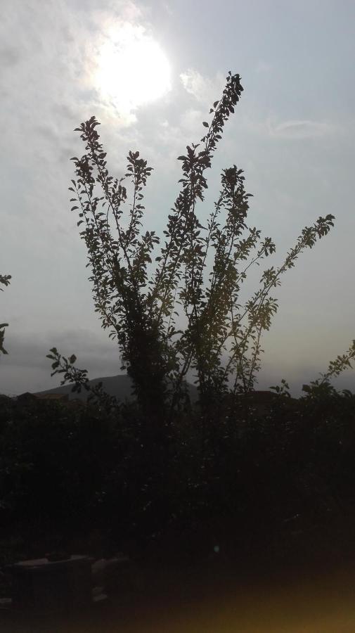 Panos And Chrisas House Βίλα Δρέπανο Εξωτερικό φωτογραφία