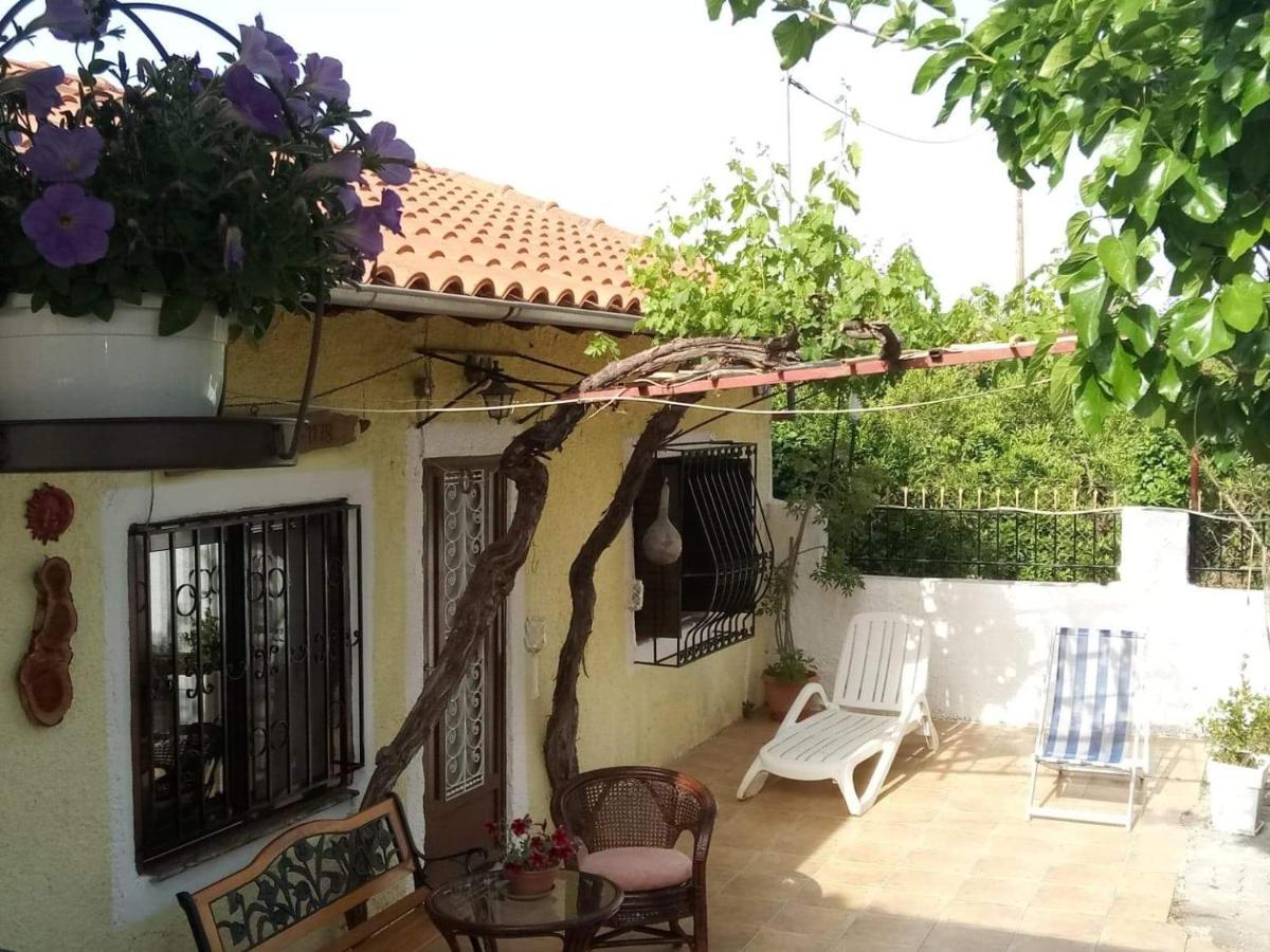 Panos And Chrisas House Βίλα Δρέπανο Εξωτερικό φωτογραφία
