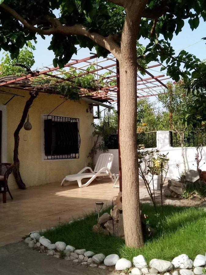 Panos And Chrisas House Βίλα Δρέπανο Εξωτερικό φωτογραφία