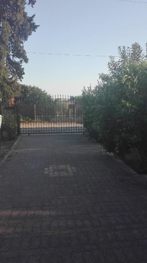 Panos And Chrisas House Βίλα Δρέπανο Εξωτερικό φωτογραφία