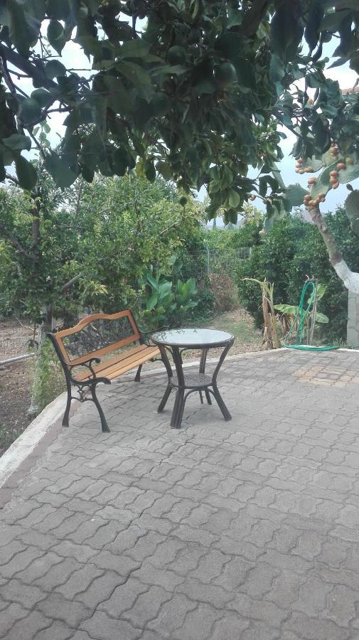 Panos And Chrisas House Βίλα Δρέπανο Εξωτερικό φωτογραφία
