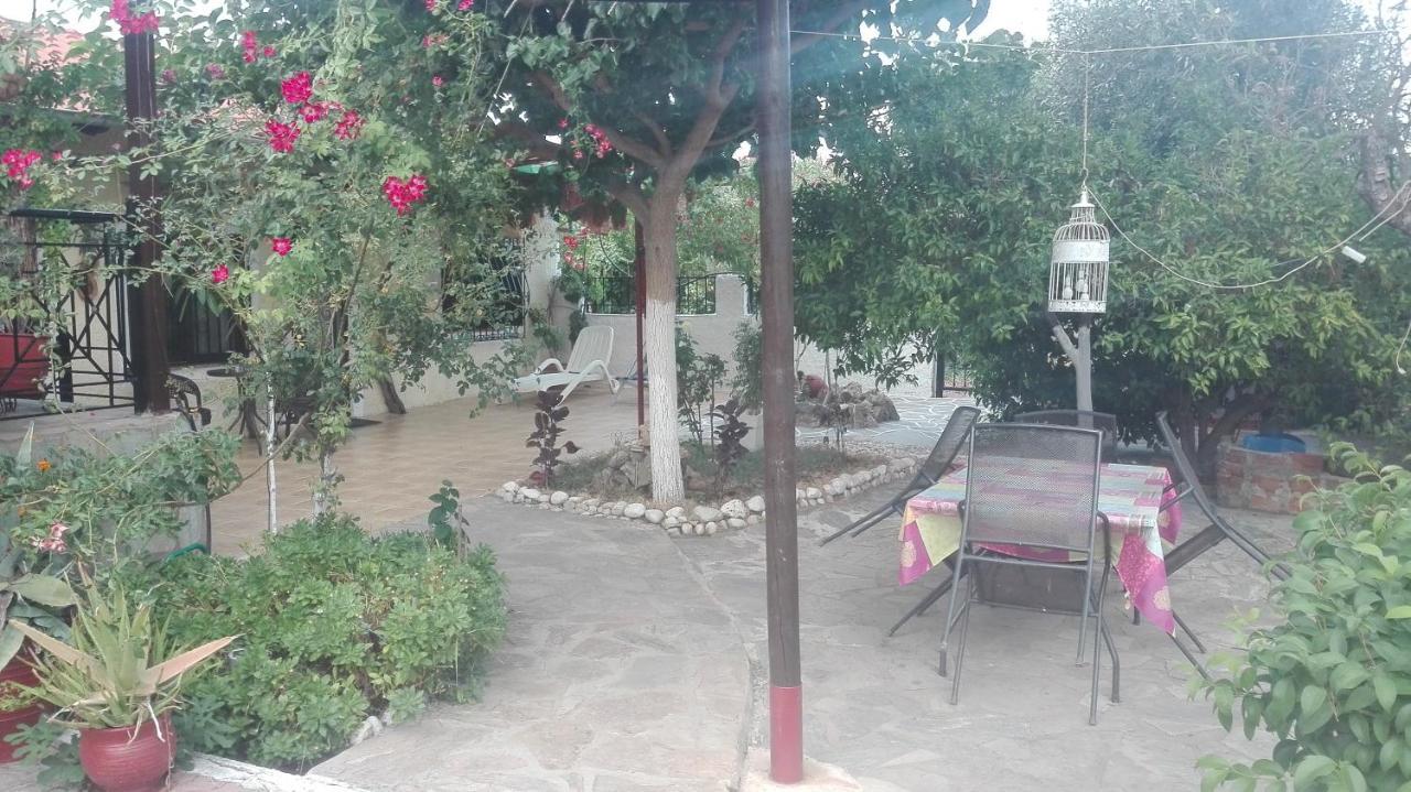 Panos And Chrisas House Βίλα Δρέπανο Εξωτερικό φωτογραφία