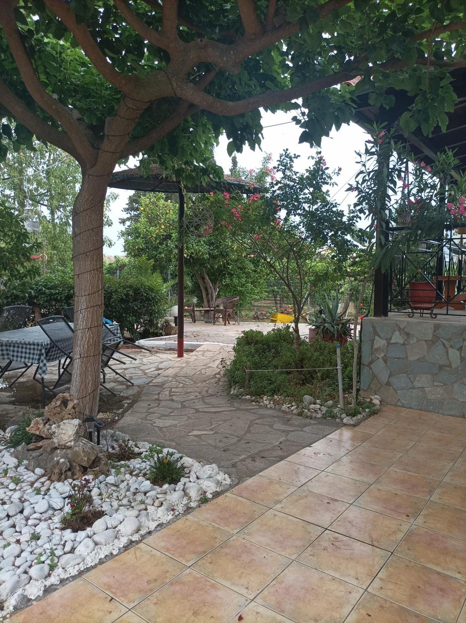 Panos And Chrisas House Βίλα Δρέπανο Εξωτερικό φωτογραφία